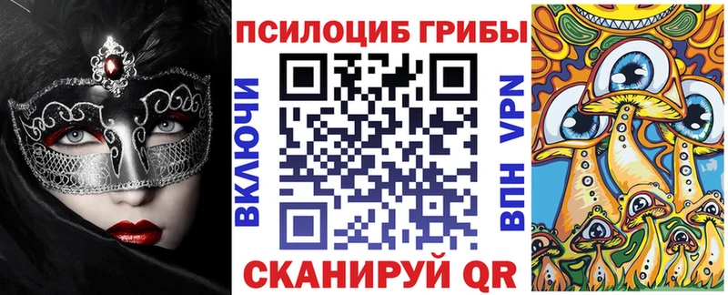 Купить где  Благодарный  Псилоцибиновые грибы Psilocybe 